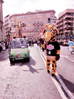 Terra Natura llena de naturaleza las Fiestas de Primavera de Murcia