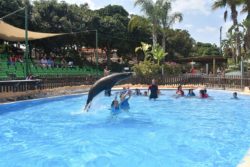 Medio centenar de niños y jóvenes con discapacidad mejoran su calidad de vida con la zooterapia en Terra Natura