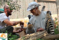 Terra Natura Murcia amplía sus proyectos de conservación animal gracias a su integración definitiva en EAZA