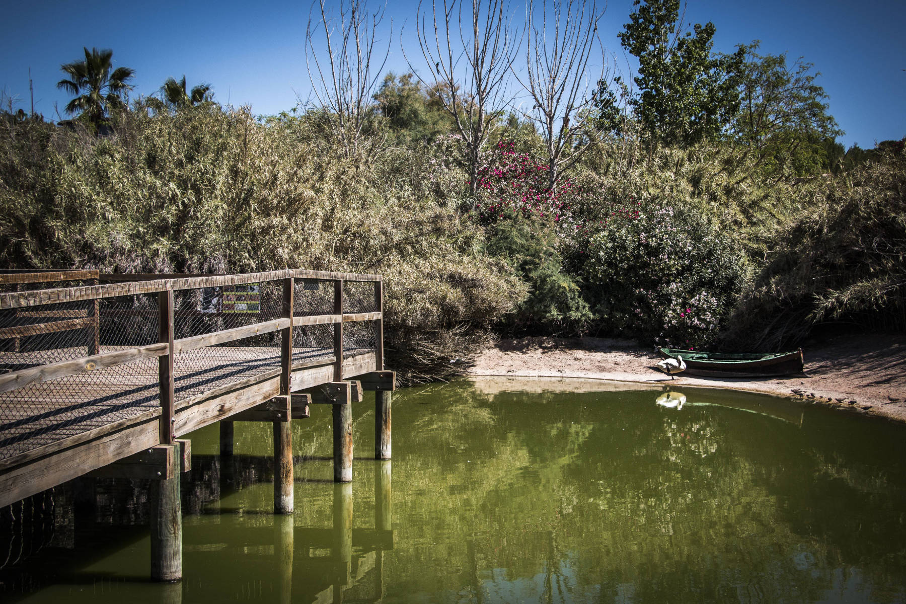 Habitat - Terra Natura Murcia