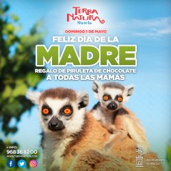 ¡Feliz Día de la Madre!