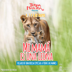 🥰🦁¡Día de la Madre en Terra Natura Murcia para todas esas mamis que son unas leonas!🦁🥰