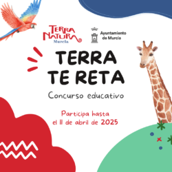 🥰🙌¡Vuelve Terra Te Reta Concurso Educativo!🙌🥰