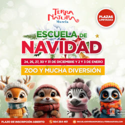 ❄🎅🎄¡Ya esta aquí nuestra Escuela de Navidad 2024-2025!🎄🎅❄