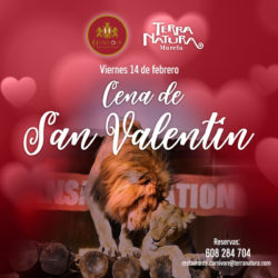 💗💗💗¡Disfruta de San Valentín en Restaurante Carnivore!💗💗💗