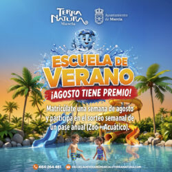 Agosto viene con regalo en nuestra Escuela de Verano: participa en el sorteo de un Pase Anual